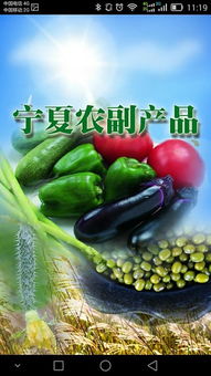 寧夏農副產品“下載”指南 特色、渠道與品牌數字化之路