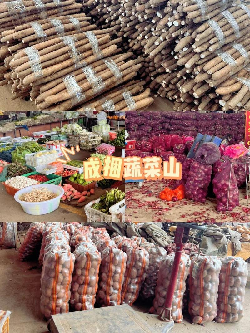 成都市民的“菜籃子”與“果盤子”——探訪沙西農副產品批發(fā)市場