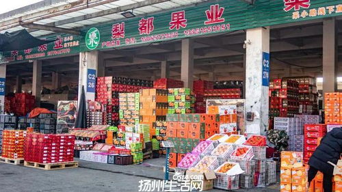 658畝大型商業地塊亮相，揚州這一區域展現農副產品流通新野心